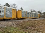 TTGX 709353